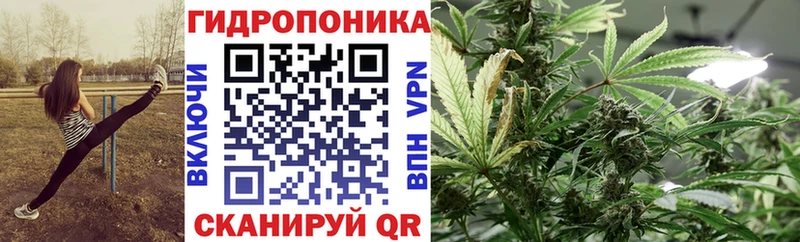 Бошки Шишки White Widow  Купить где  Выкса 